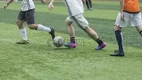 珠江“压咸补淡”应急水量调度20年成效揭秘——水利部深度解析